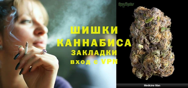 шишки Вязьма