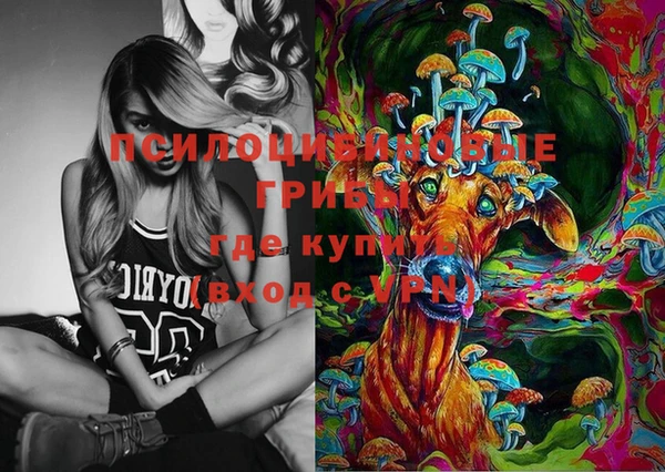 марки lsd Вяземский