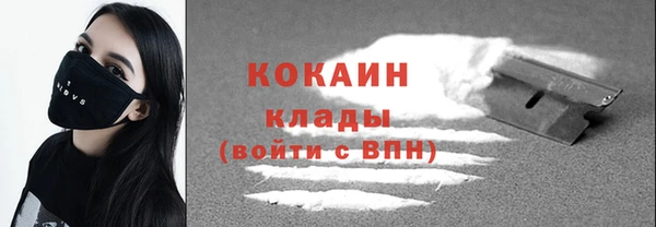 шишки Вязьма