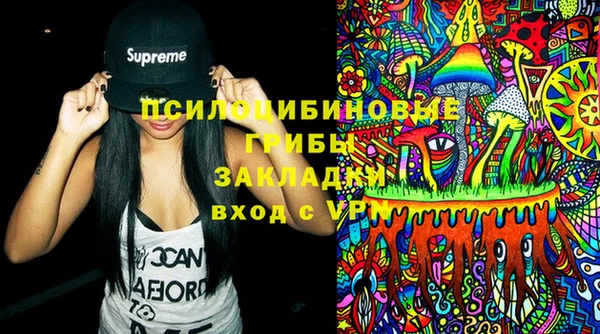 шишки Вязьма