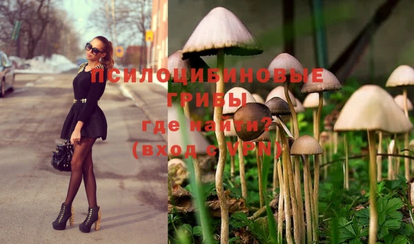 шишки Вязьма