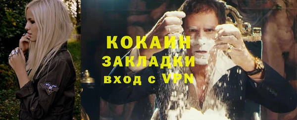 шишки Вязьма