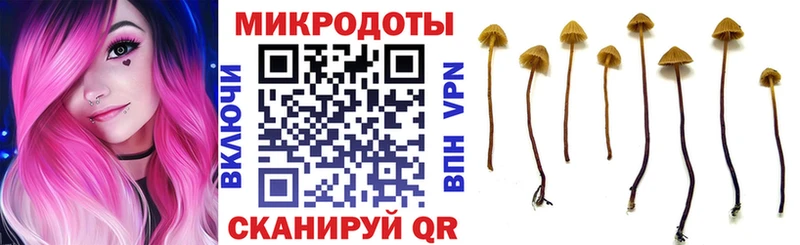 mega как зайти  наркотики  Саянск  Галлюциногенные грибы Psilocybine cubensis 